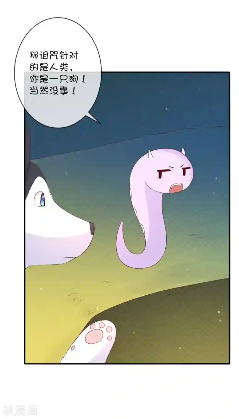 巫女的豪门生活第31话 望星小镇的秘密