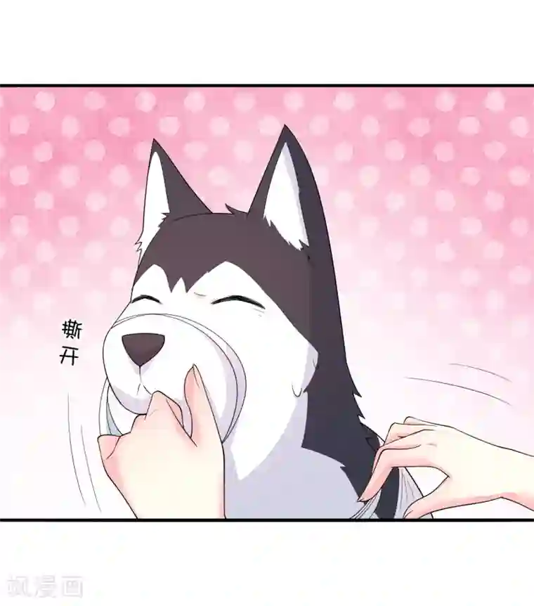 巫女的豪门生活第33话 被吃掉了？