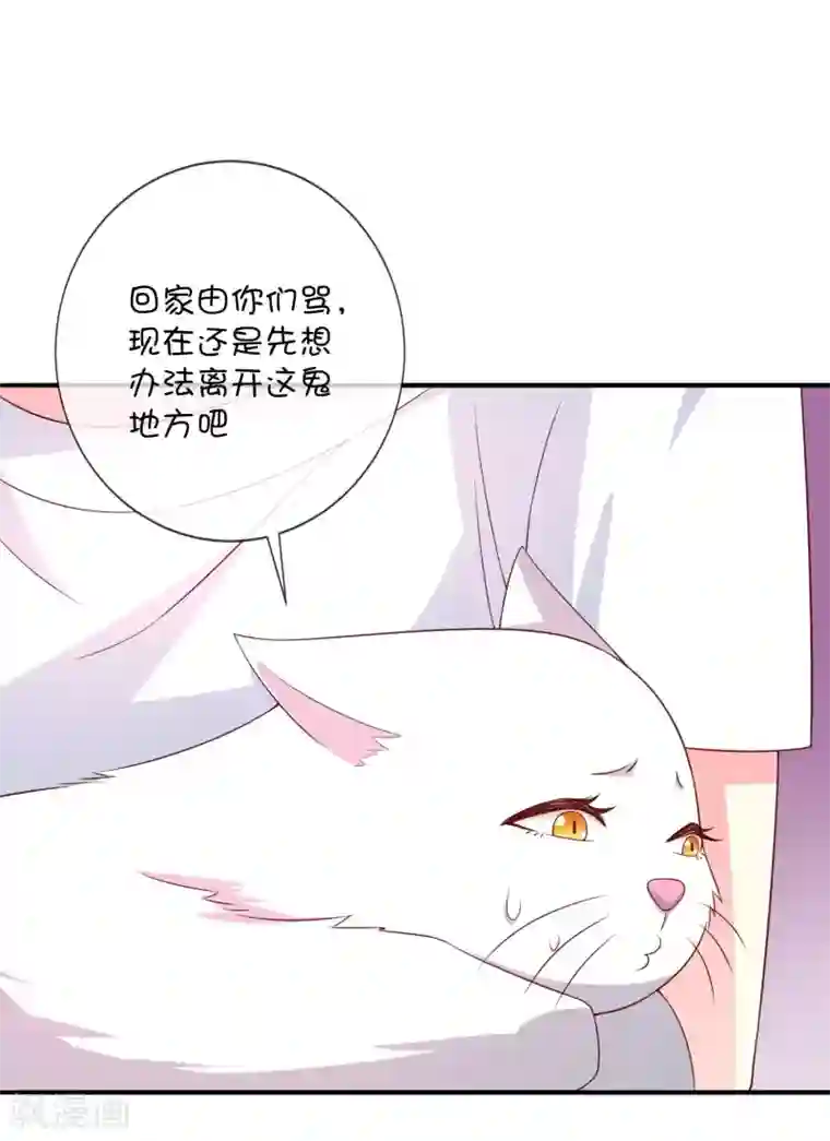 巫女的豪门生活第38话 黎明前的黑暗