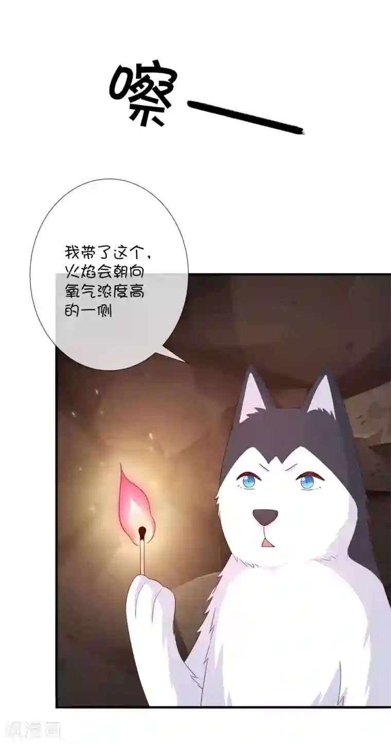 巫女的豪门生活第38话 黎明前的黑暗