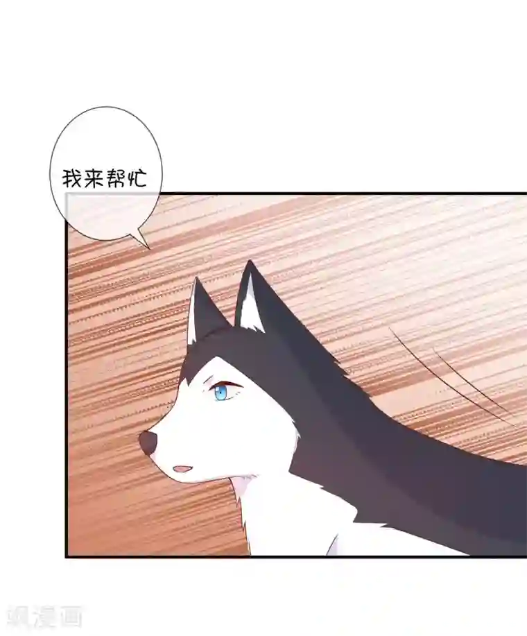 巫女的豪门生活第38话 黎明前的黑暗