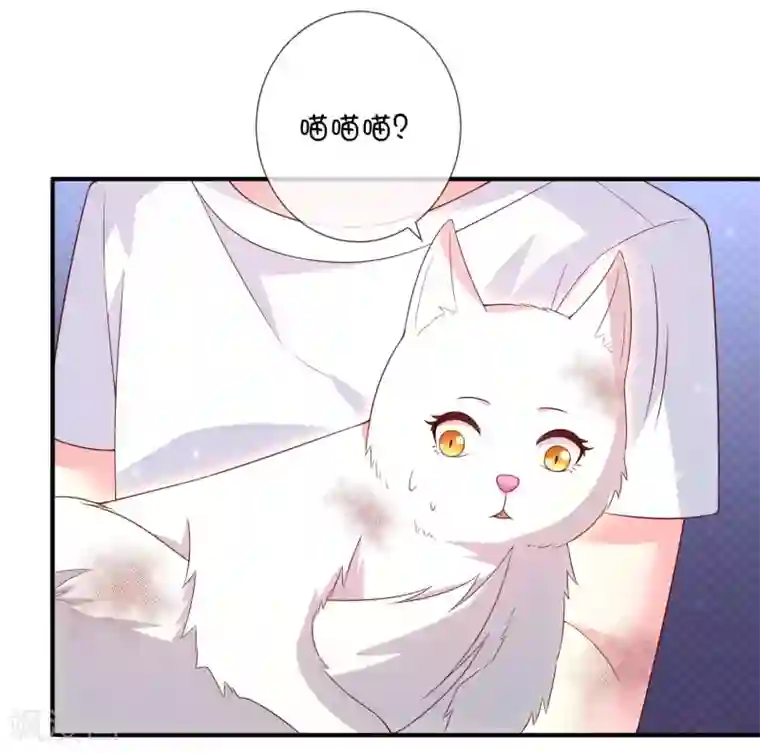 巫女的豪门生活第38话 黎明前的黑暗