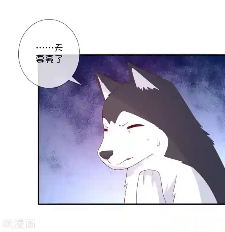 巫女的豪门生活第38话 黎明前的黑暗