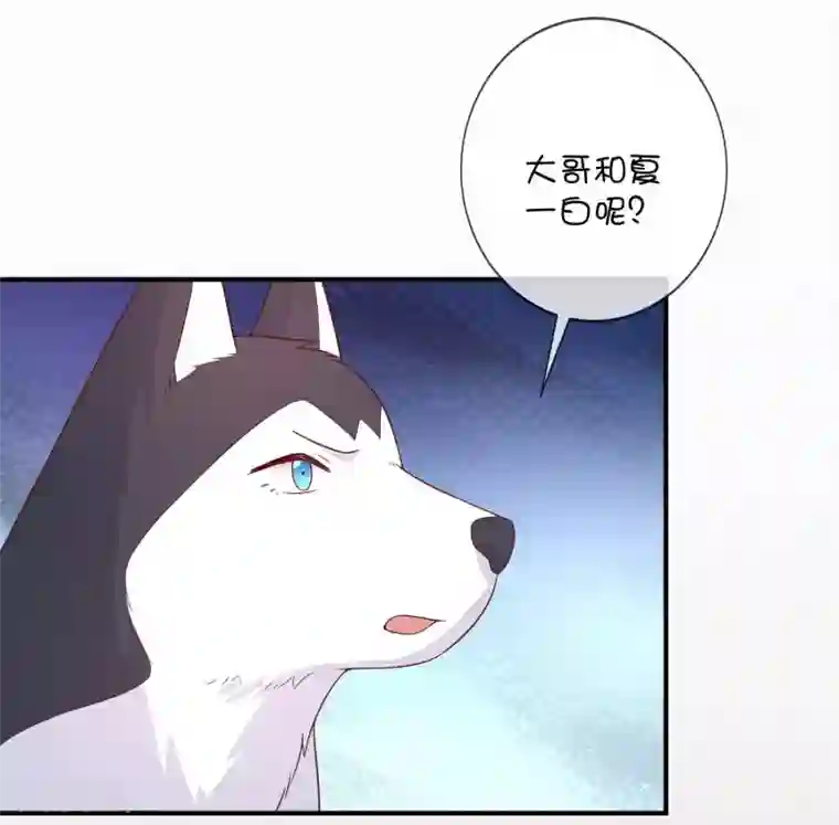 巫女的豪门生活第38话 黎明前的黑暗