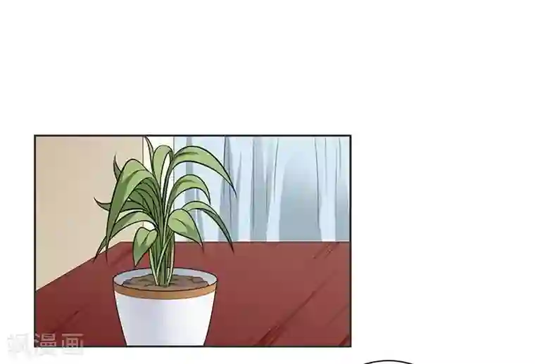 明人不谈暗恋第11话 求婚