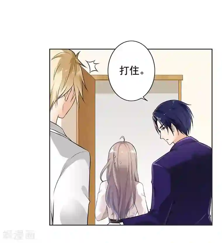 明人不谈暗恋第11话 求婚