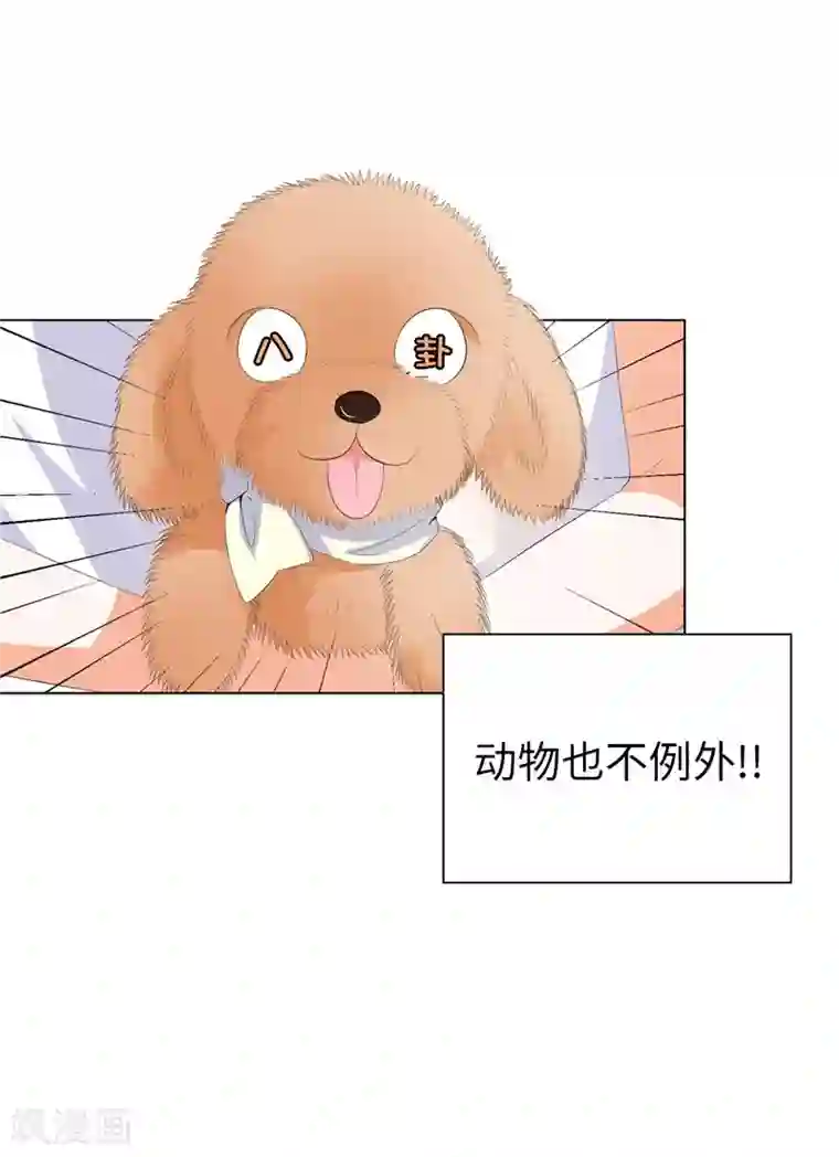 兄控公爵嫁不得第23话 实力KO！