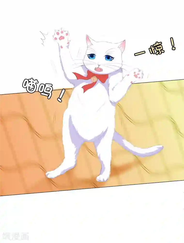 兄控公爵嫁不得第41话 最危险的地方也不安全啊~