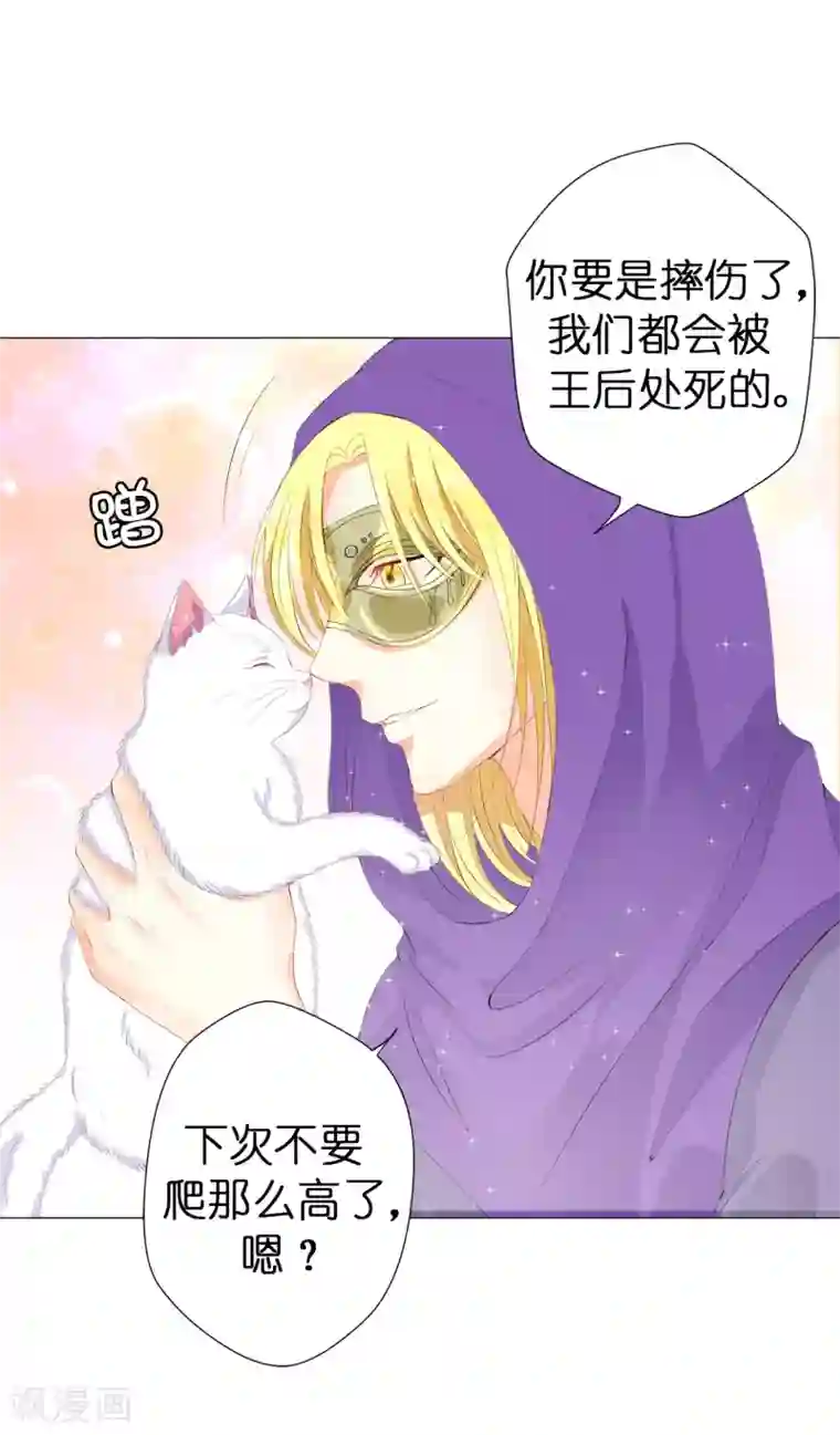 兄控公爵嫁不得第42话 人不如猫