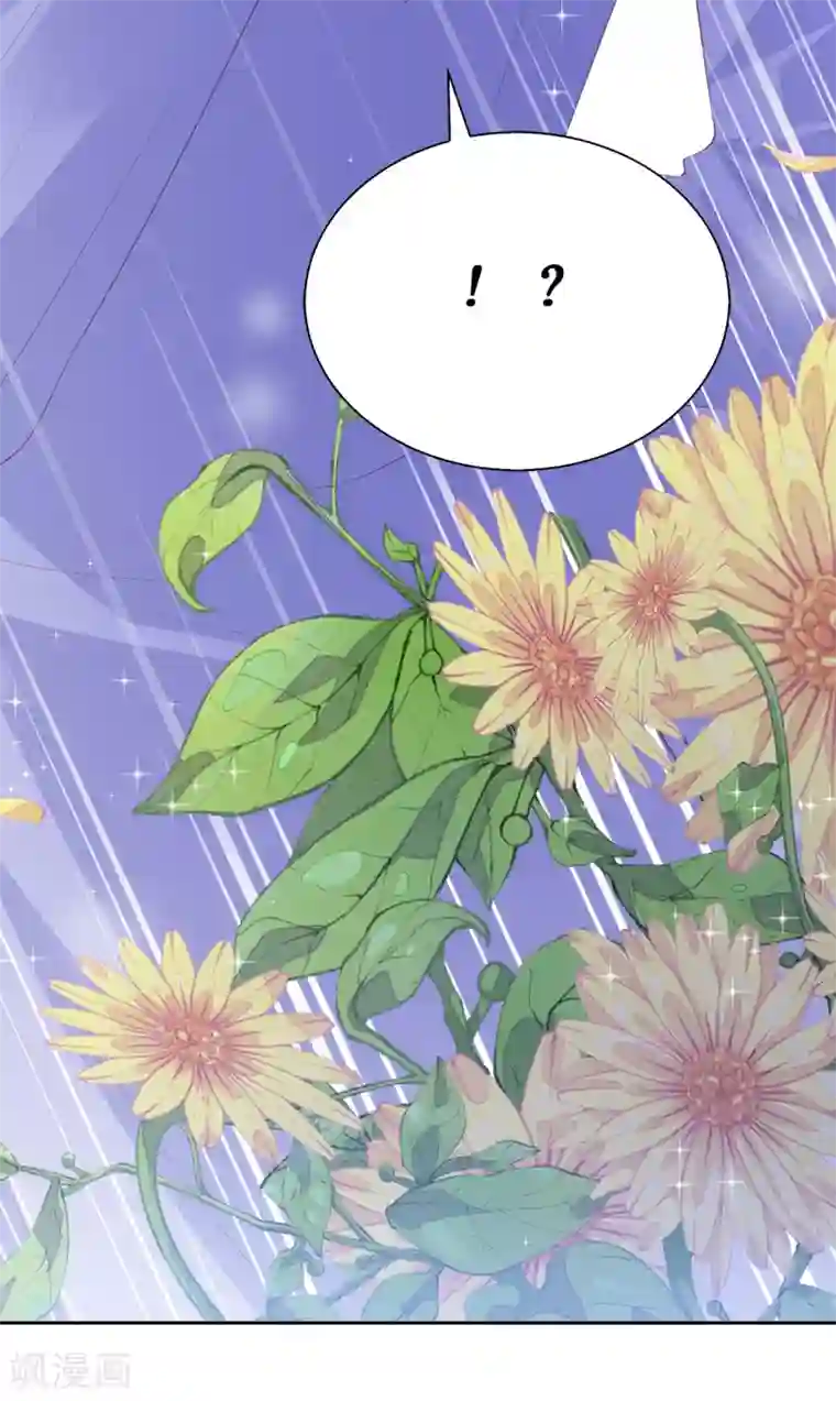 兄控公爵嫁不得第56话 哥哥会接住我的！