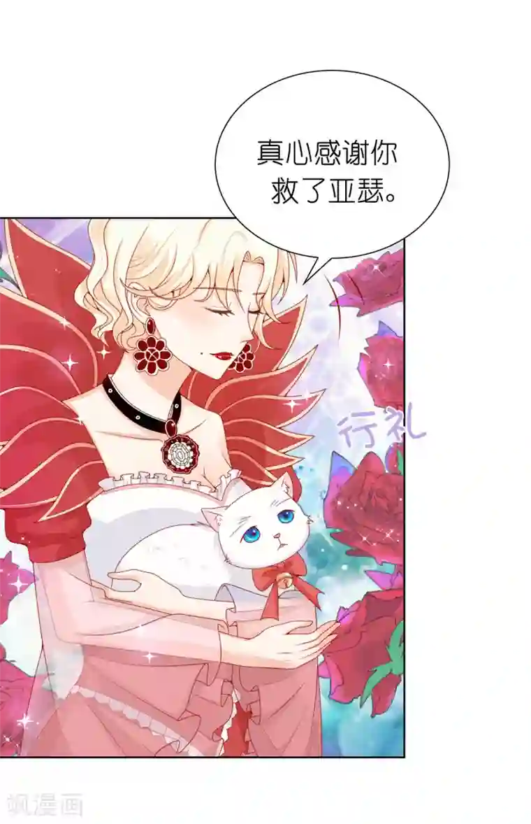 兄控公爵嫁不得第68话 皇后亲自道谢