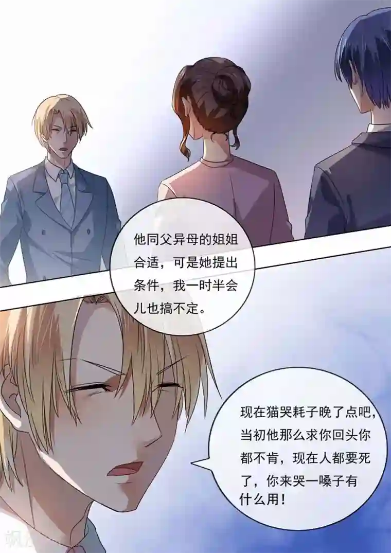 恶魔总裁的祭品新娘第205话