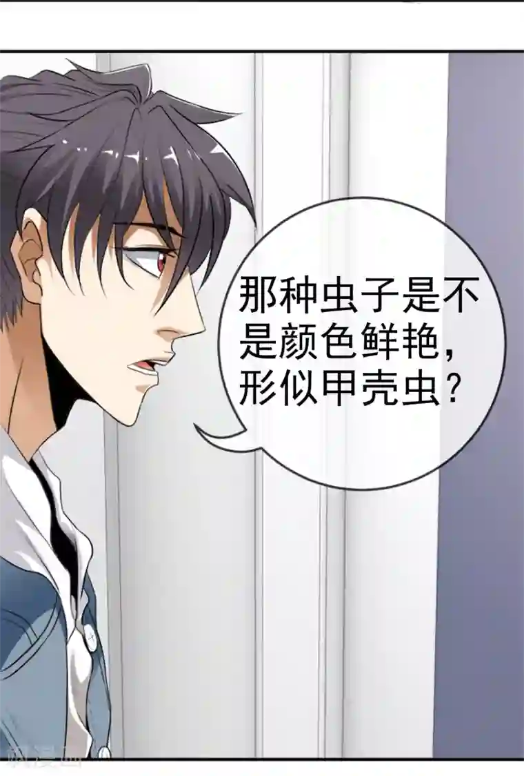 虫祭第8话 满天甲