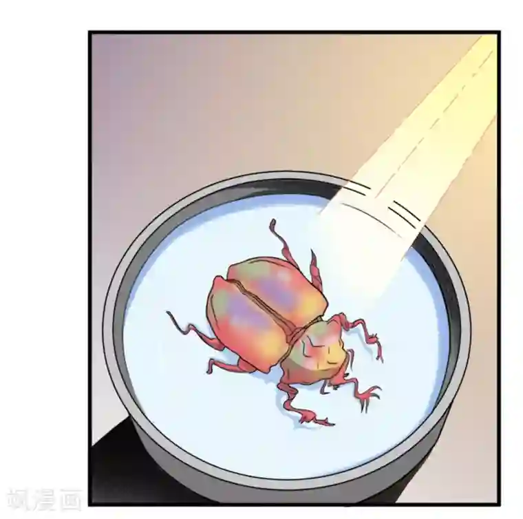 虫祭第8话 满天甲