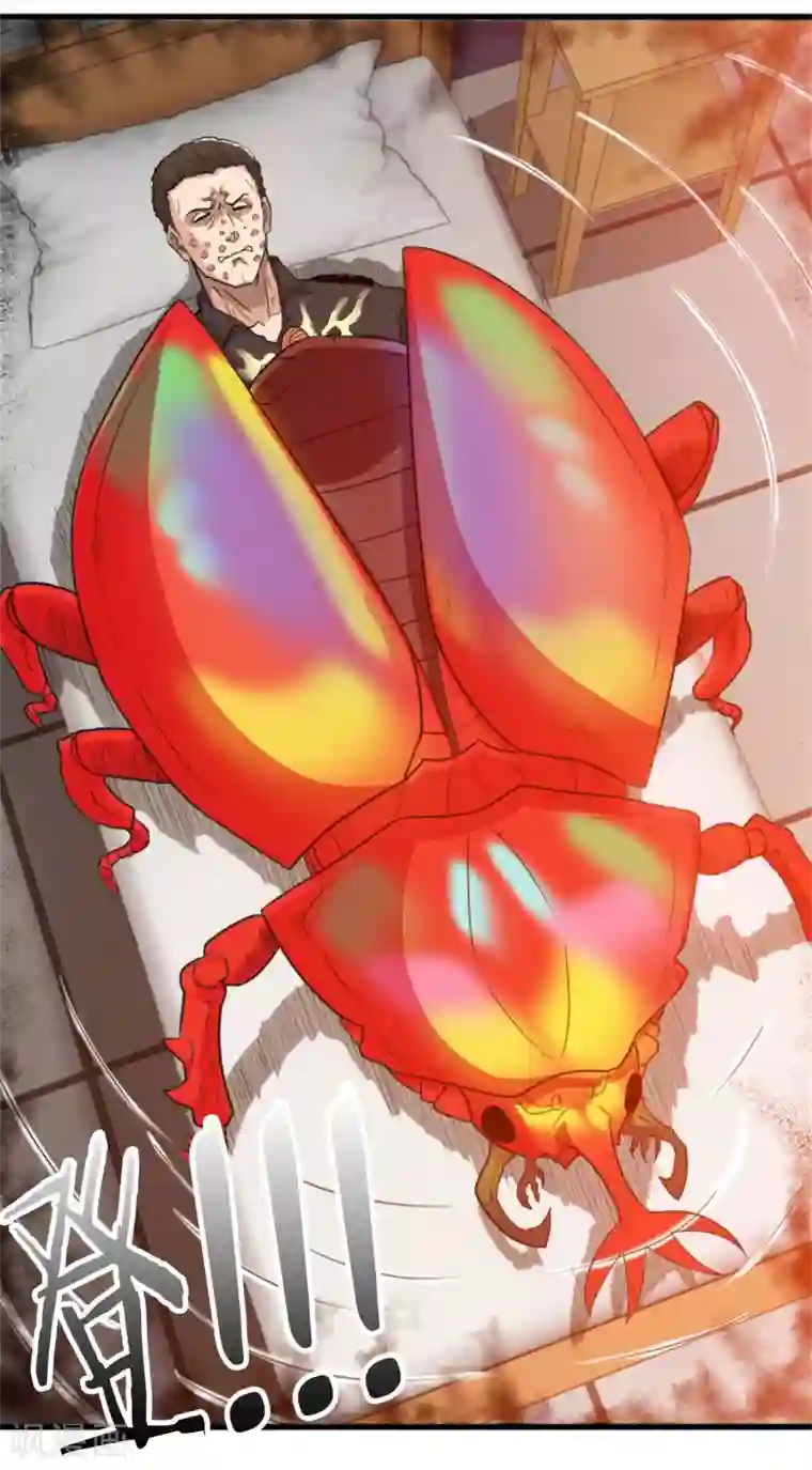 虫祭第8话 满天甲