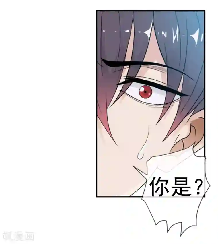 虫祭第9话 美女律师