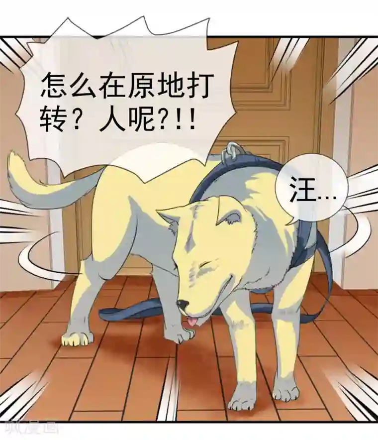 虫祭第12话 化茧逃生