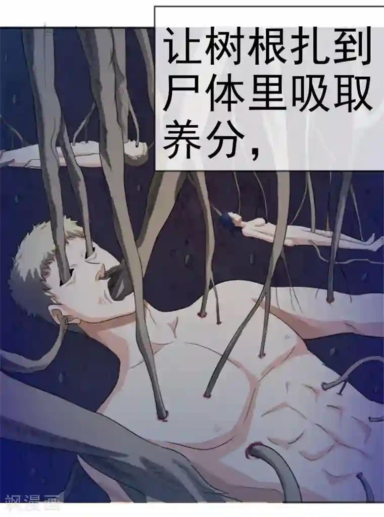 虫祭第15话 裹尸树