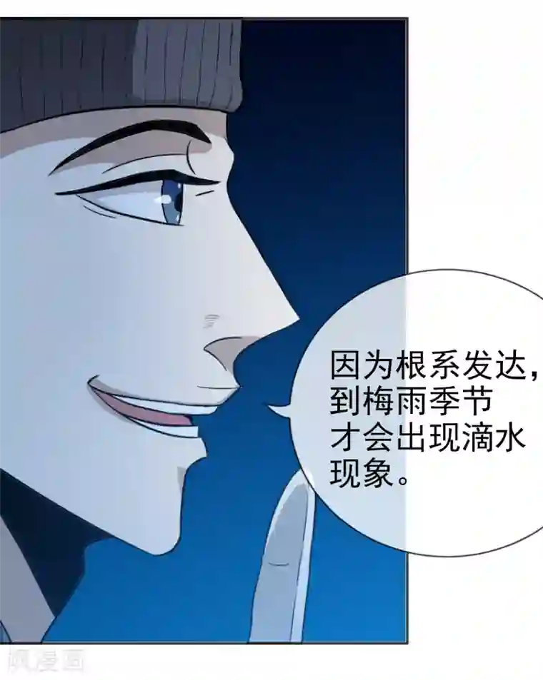 虫祭第17话 目的不纯