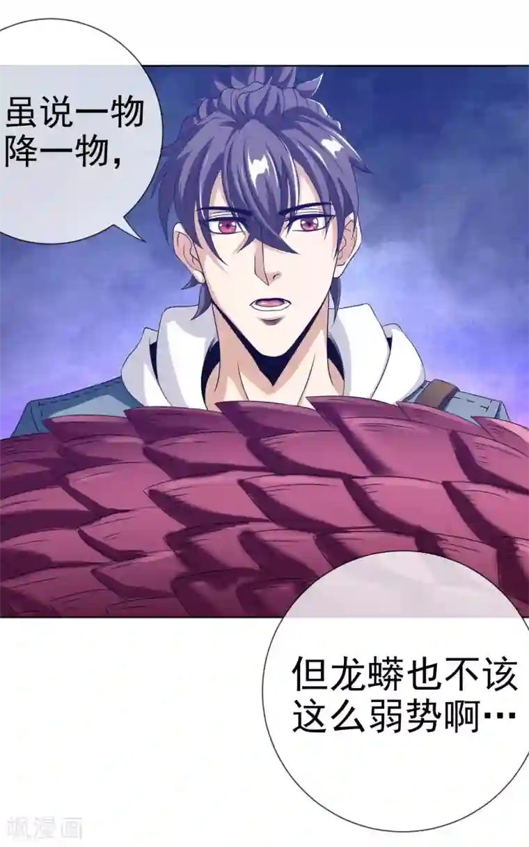 虫祭第26话 龙蟒之死