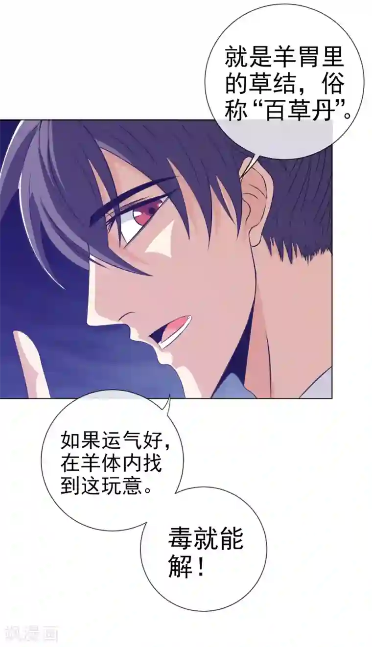 虫祭第26话 龙蟒之死