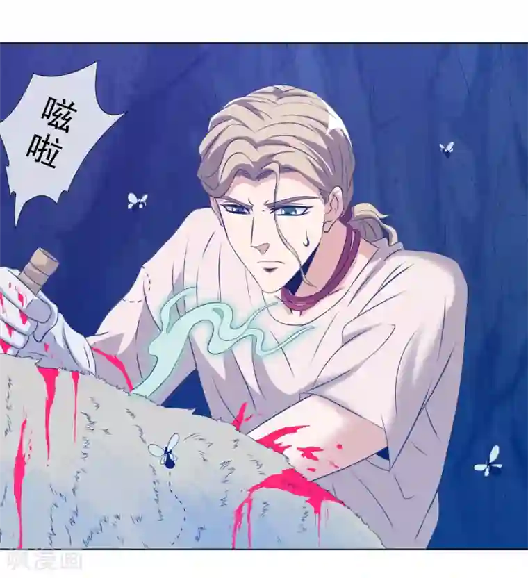 虫祭第26话 龙蟒之死