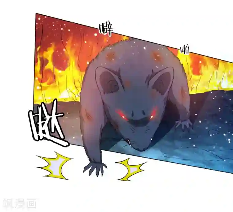 虫祭第33话 鼠王听令