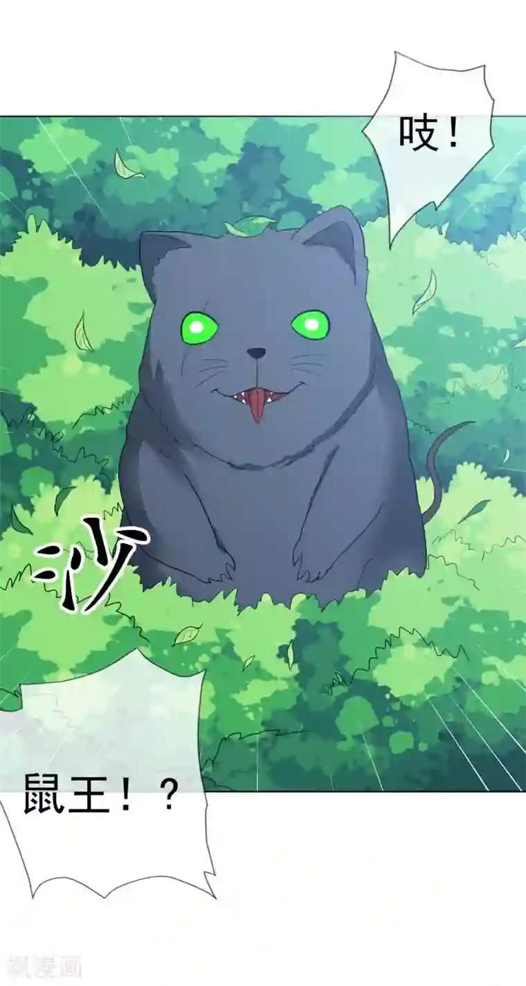 虫祭第45话 突袭