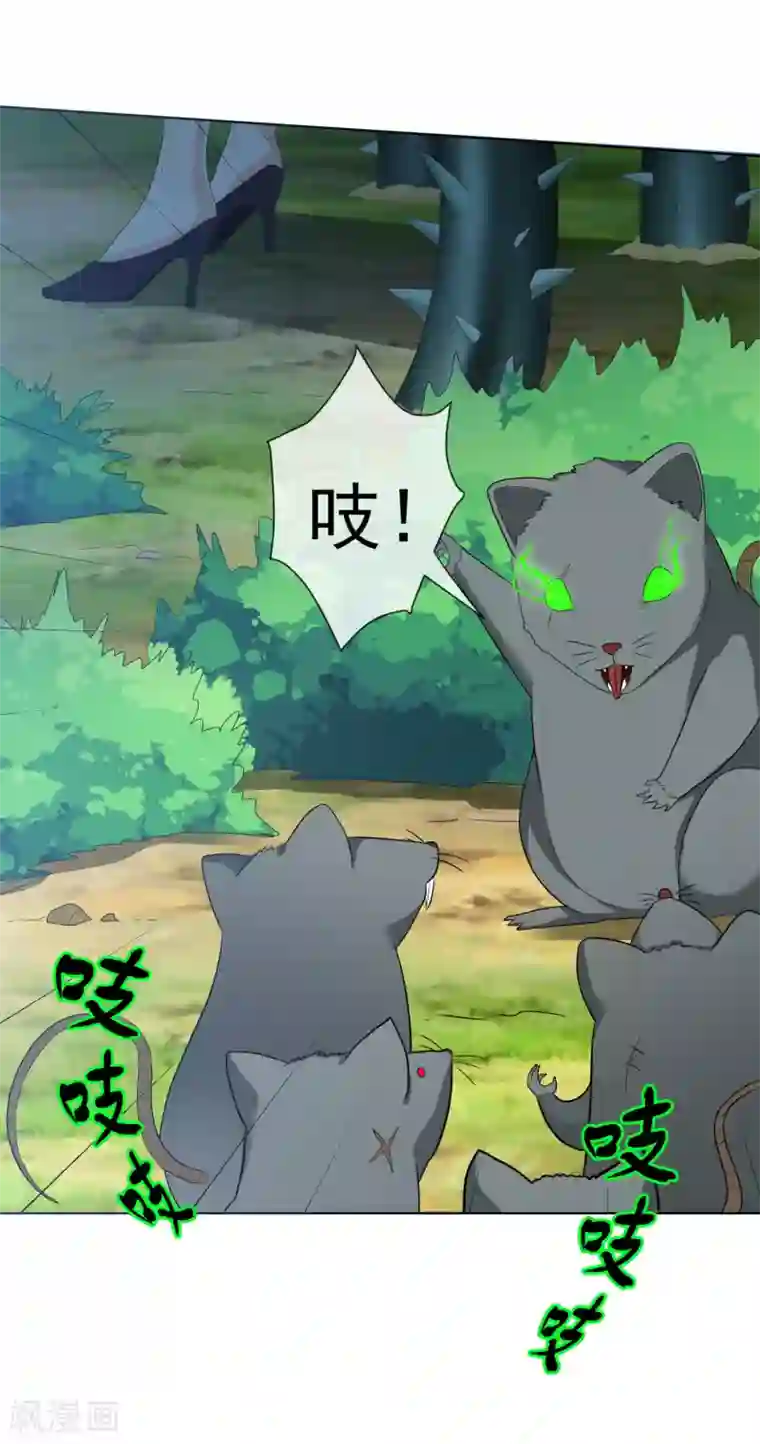 虫祭第47话 实力差距