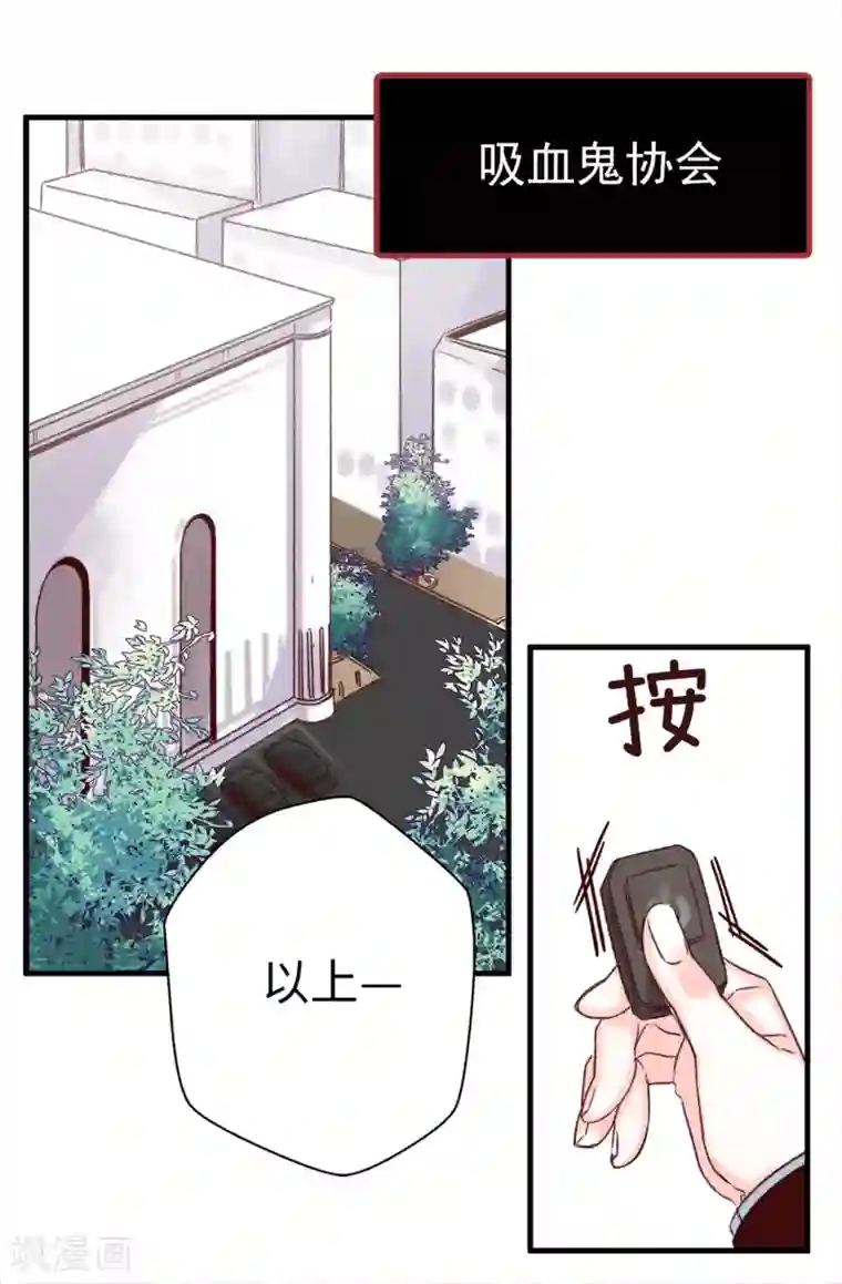 蔷薇恋人第4话 蔷薇家族的后裔