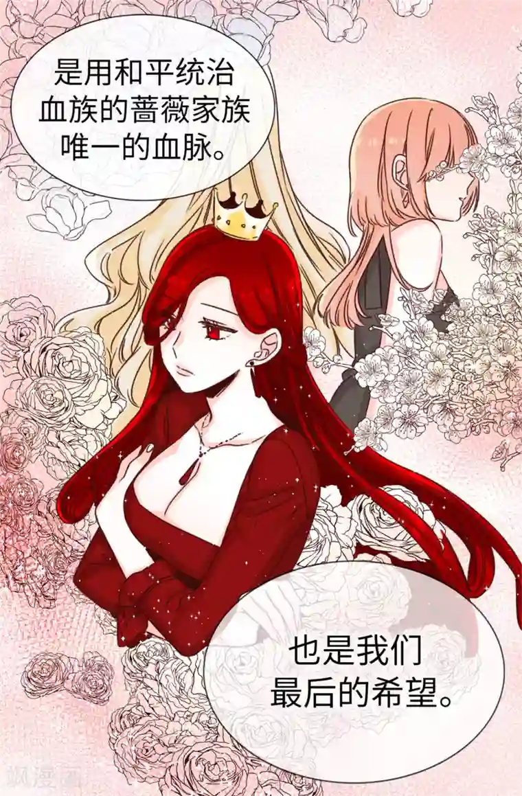 蔷薇恋人第4话 蔷薇家族的后裔