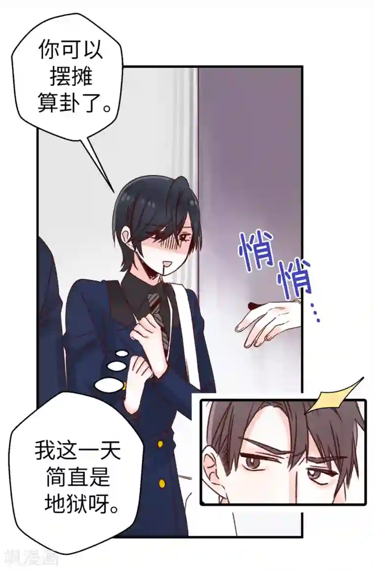 蔷薇恋人第6话 双面人