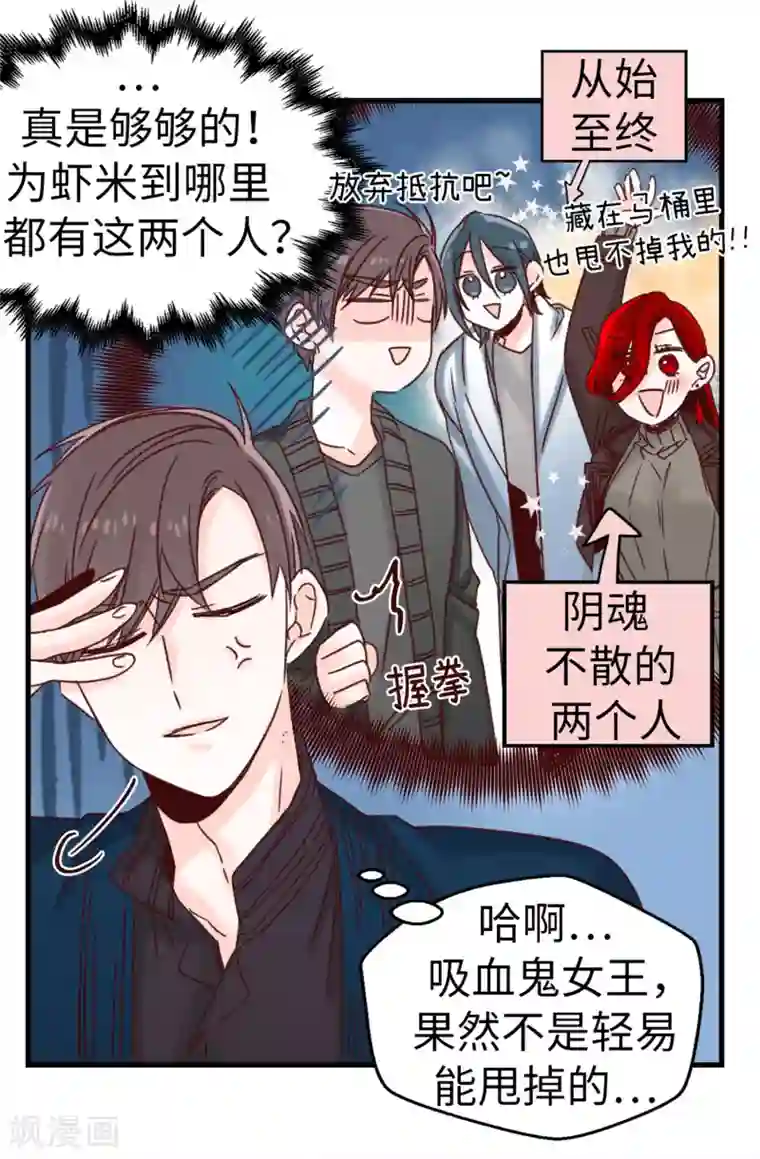 蔷薇恋人第20话 跟踪二人组