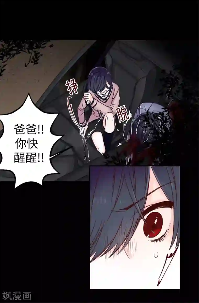 蔷薇恋人第25话 当年的意外