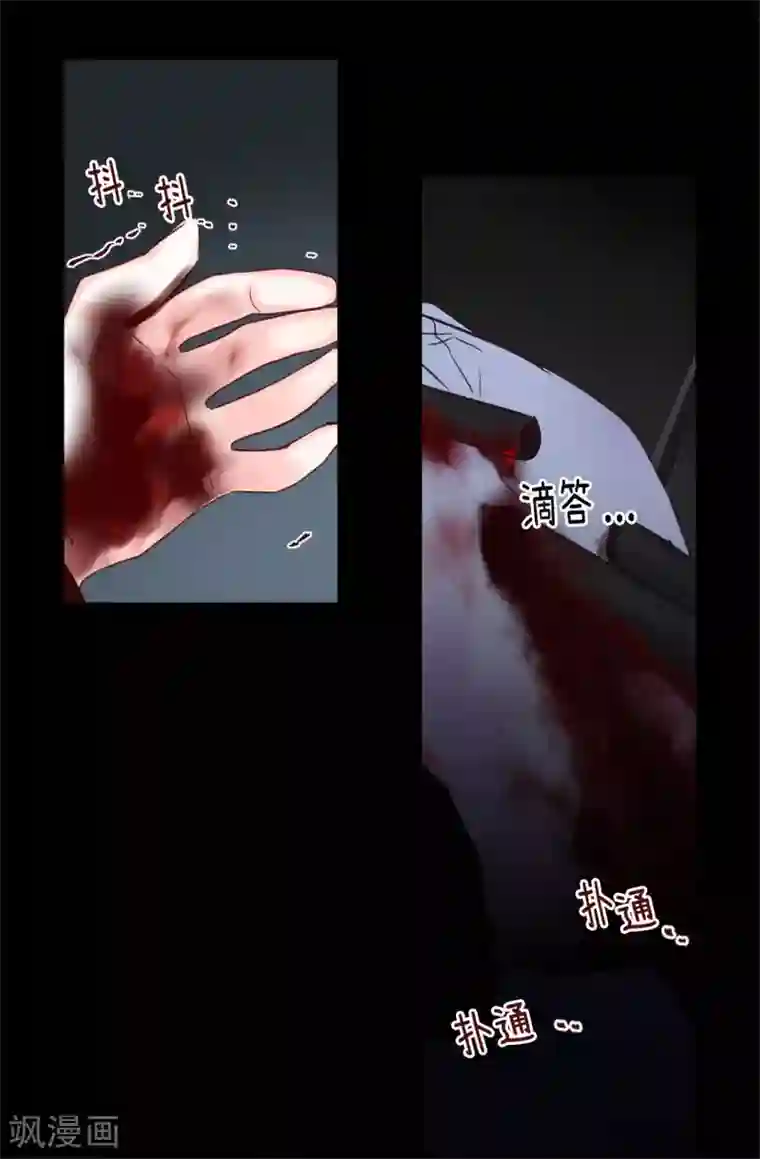 蔷薇恋人第25话 当年的意外