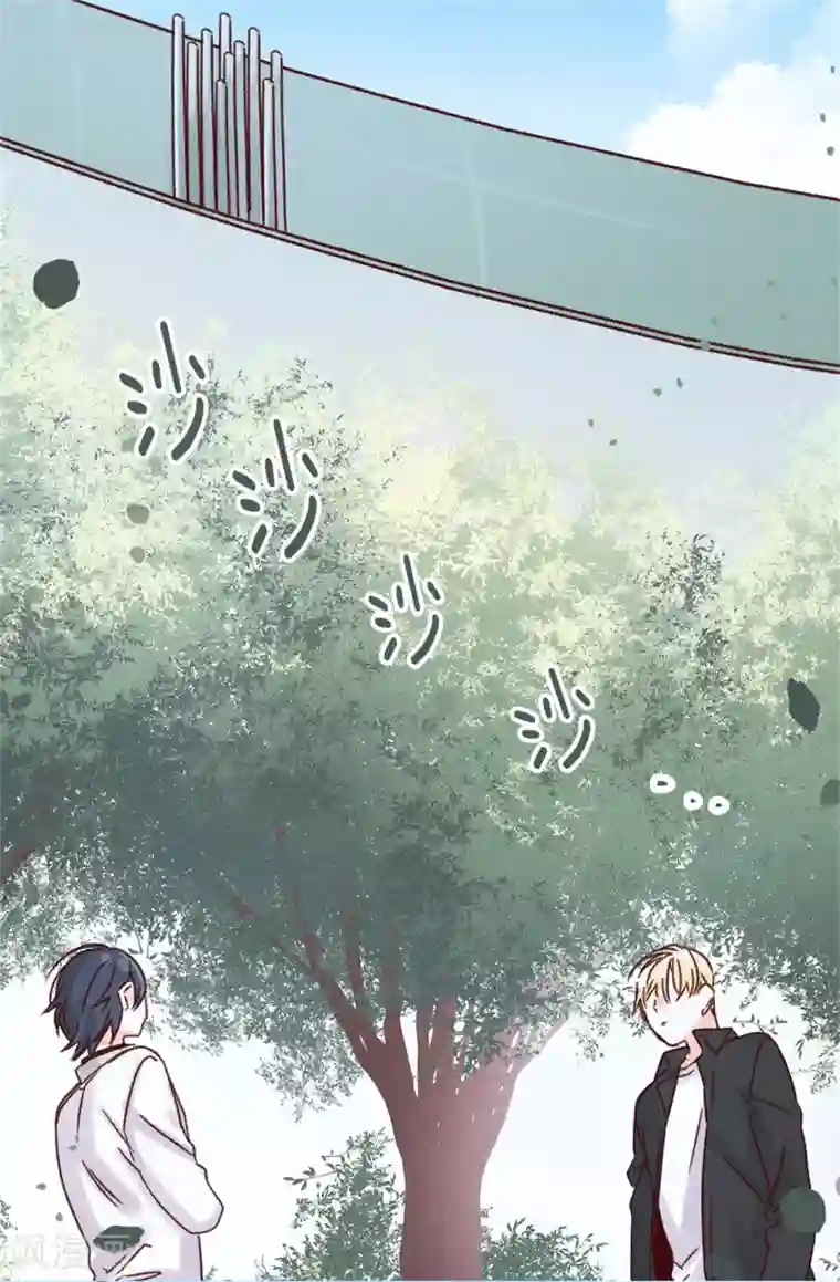 蔷薇恋人第39话 激发女王的潜能