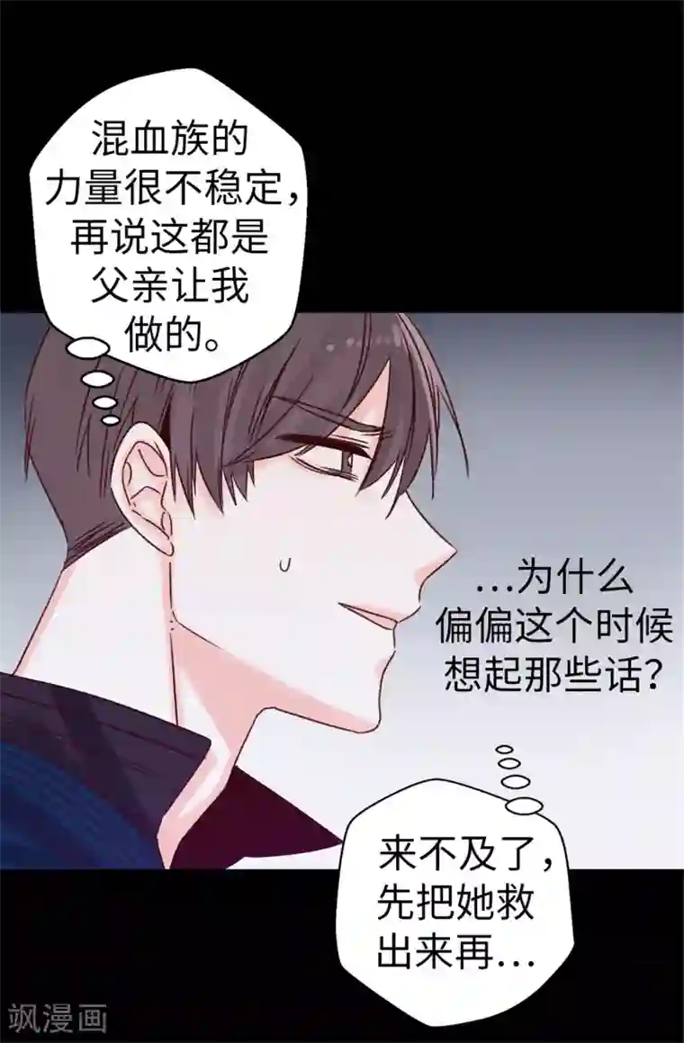 蔷薇恋人第45话 骑士的义务