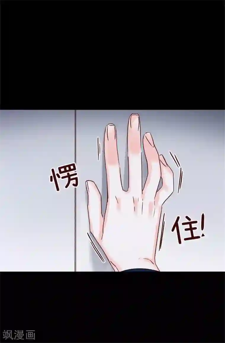 蔷薇恋人第45话 骑士的义务