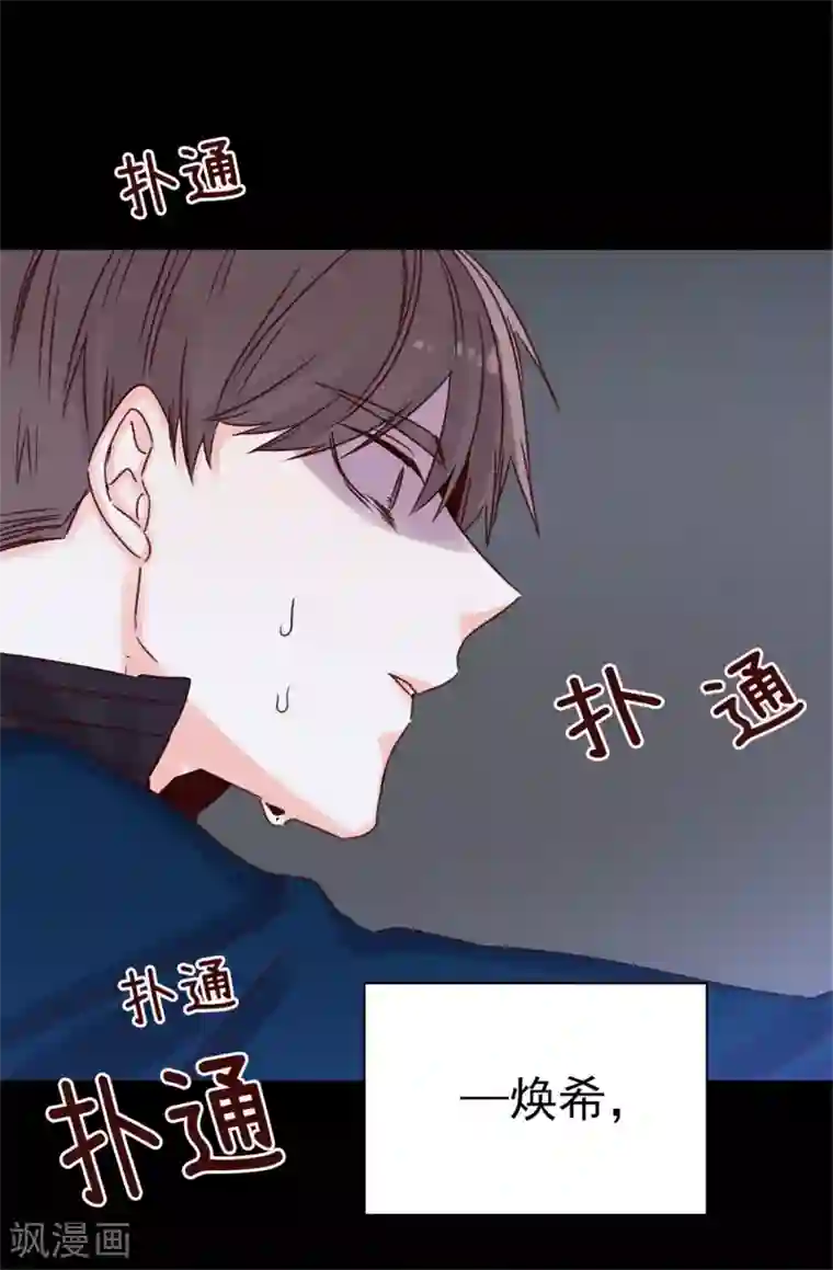 蔷薇恋人第45话 骑士的义务