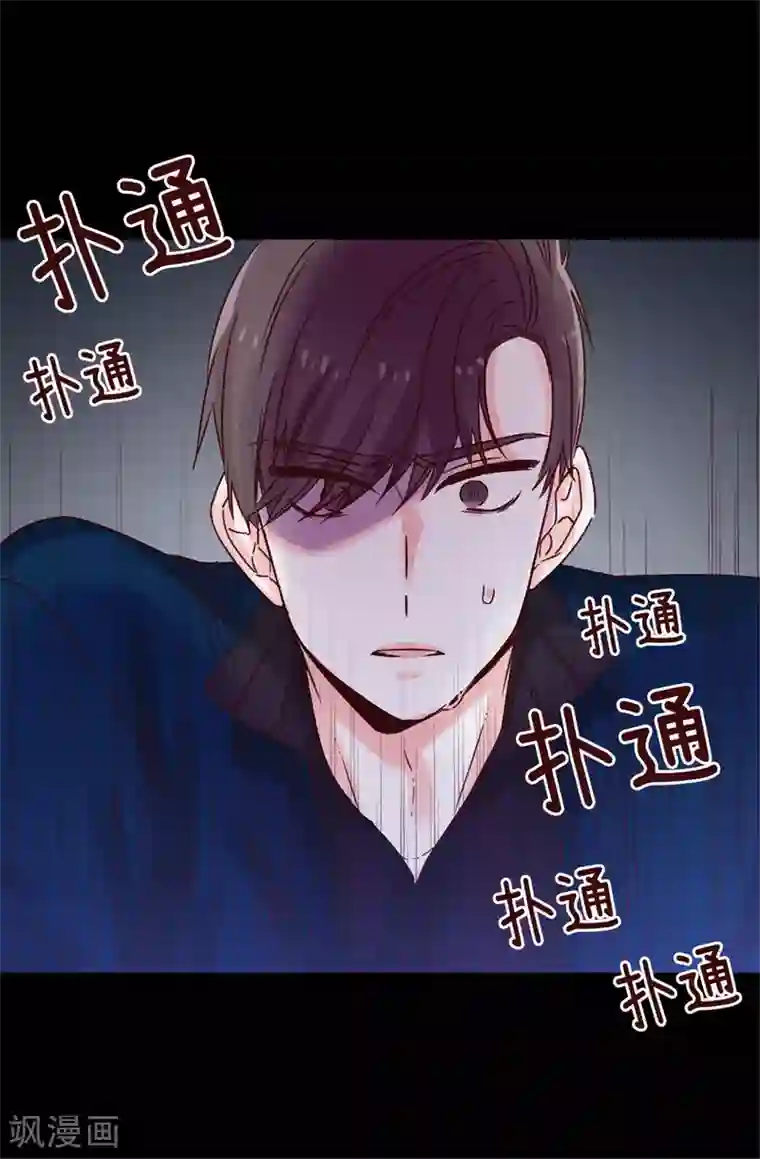 蔷薇恋人第45话 骑士的义务