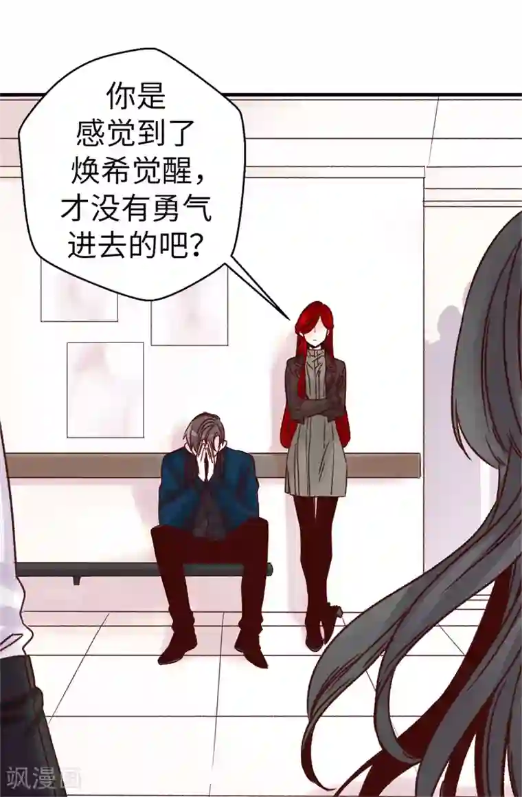 蔷薇恋人第45话 骑士的义务