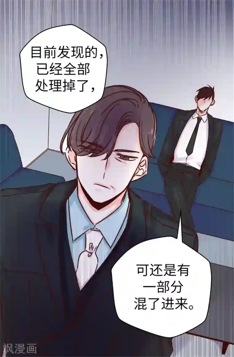 蔷薇恋人第47话 不会yy的秘书长不是好司机