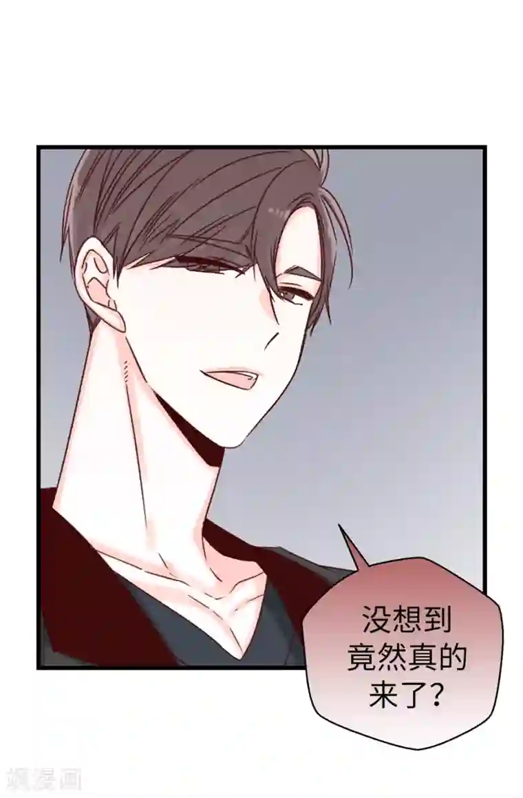 蔷薇恋人第49话 不速之客