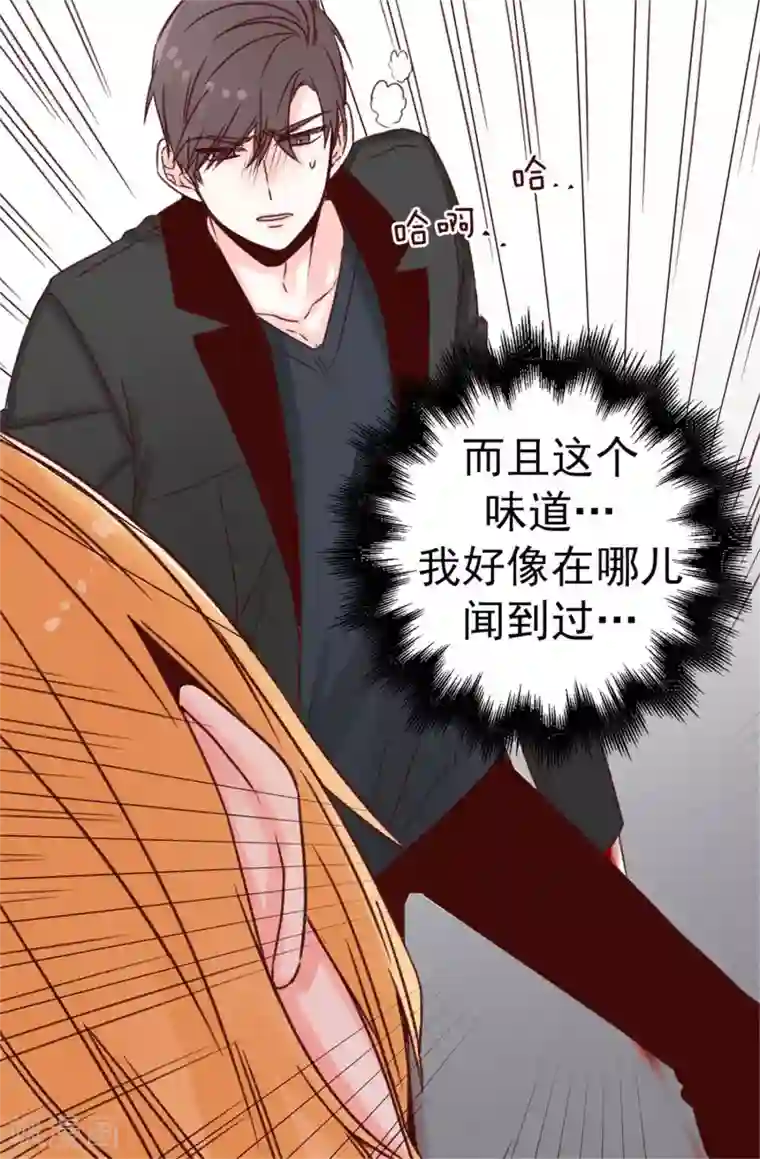 双聂聂怀桑生孩子/免费漫画