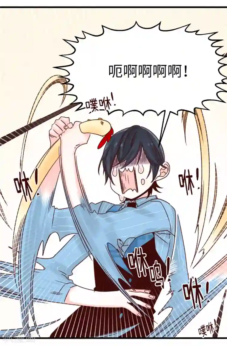 蔷薇恋人第54话 最疯只有更疯