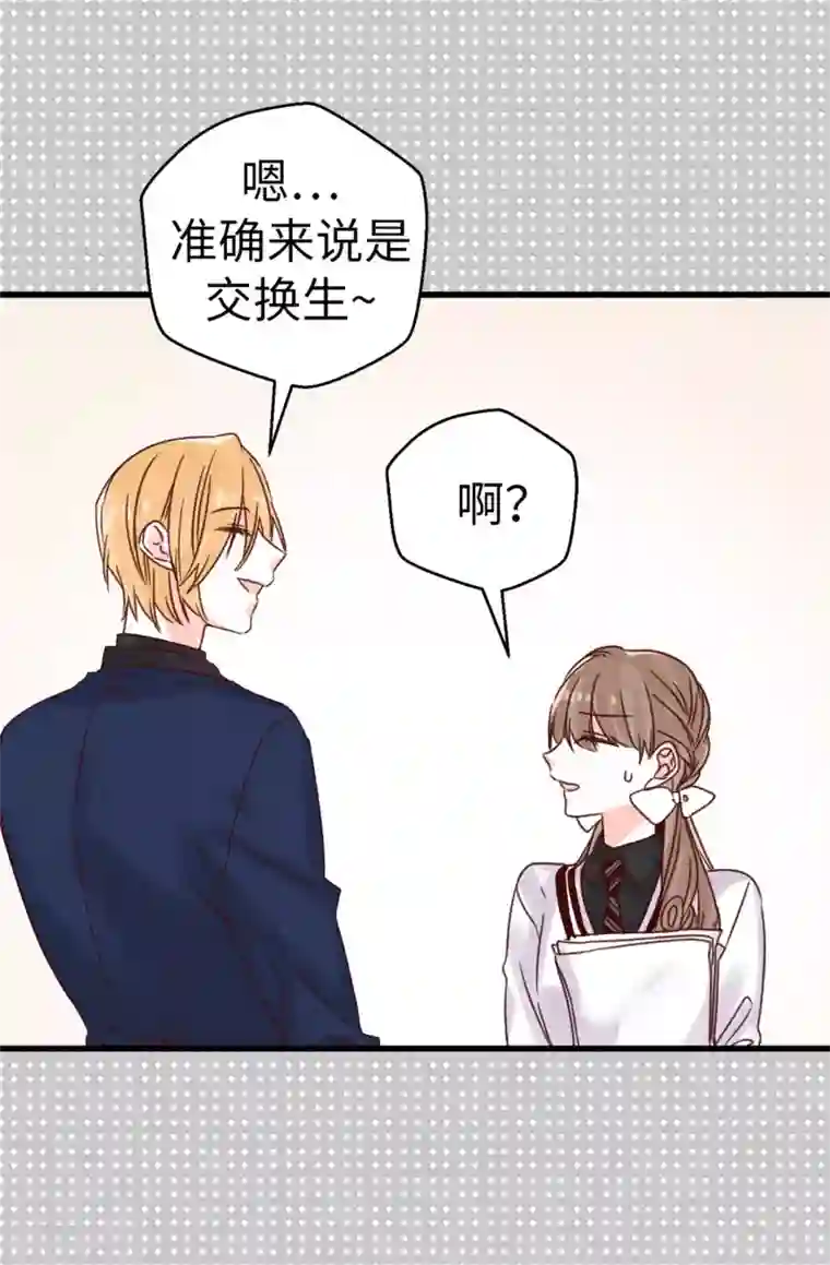 蔷薇恋人第61话 转校生