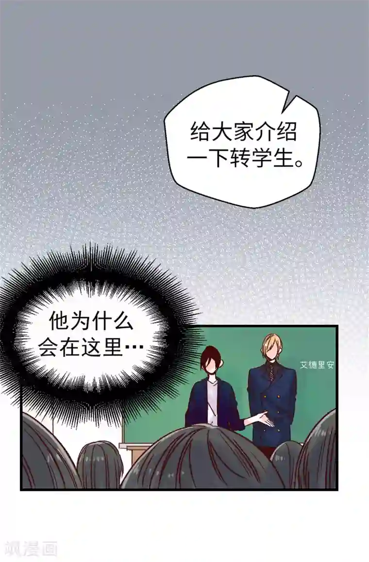 蔷薇恋人第61话 转校生