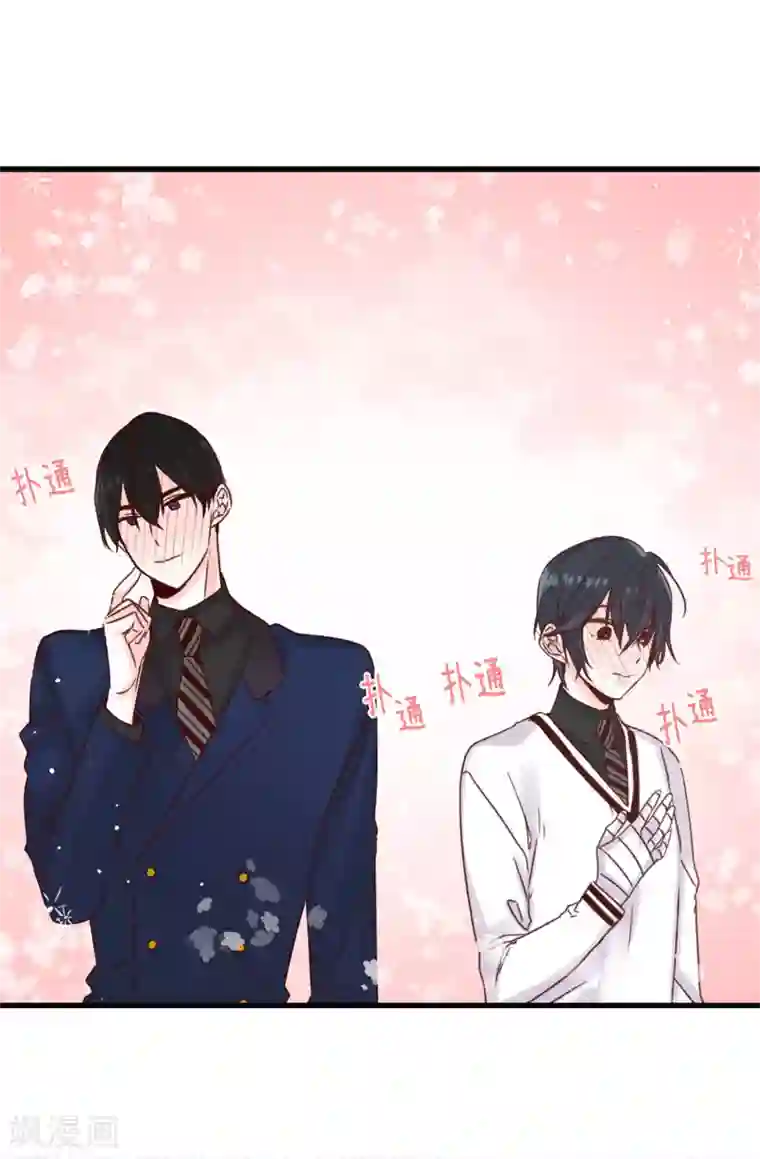 蔷薇恋人第62话 我只是喜欢你