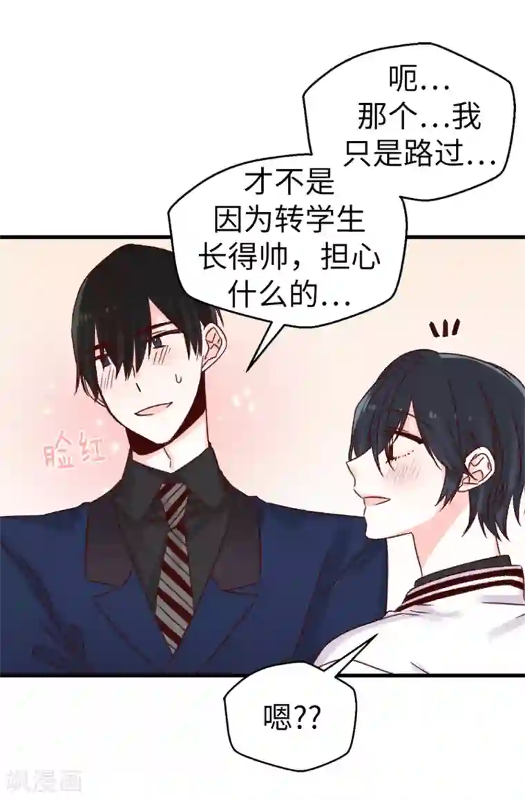 angelababy弯腰看到奶第63话 最幸福的时光