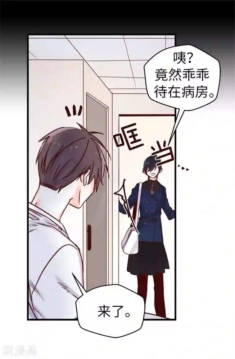 angelababy弯腰看到奶第63话 最幸福的时光